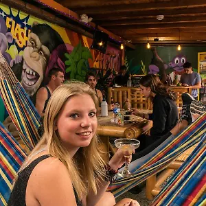 Purple Monkey , Medellín Colômbia